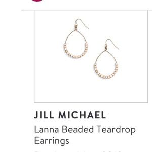 Stitch Fix still in box earrings